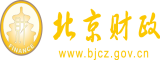 免费操逼网战北京市财政局