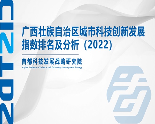 插逼色【成果发布】广西壮族自治区城市科技创新发展指数排名及分析（2022）